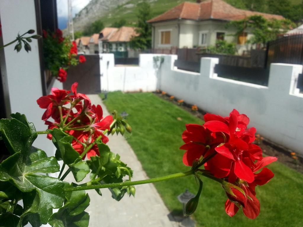 Casa Demeter Hotel Torockó Kültér fotó