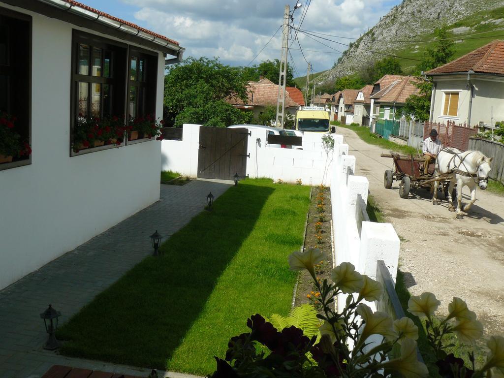Casa Demeter Hotel Torockó Kültér fotó
